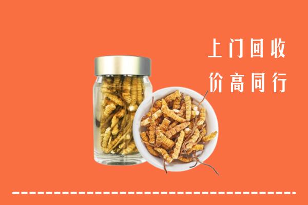 高价求购：崇义县回收冬虫夏草